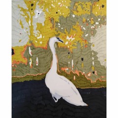 از من نپرسیدی _سعید عباس پور و رضا موسوی زاده_az man naporsidi