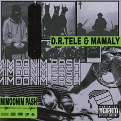 Mimonim pash- Dr.tele ft Mamaly