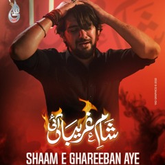 Shaam e Ghareeban Aye   --   Farhan Ali Waris  --  2022  -  1444
