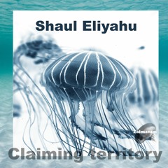 Shaul Eliyahu - Claiming Territory