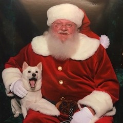 have urself a merry little christmas(with yonha)