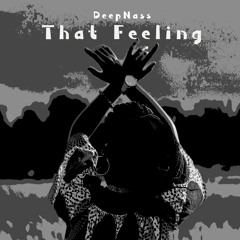 DeepNass - That Feeling (Original Mix)
