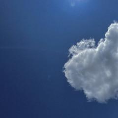 Delayed Optics 2 - Live Ambient - 221122