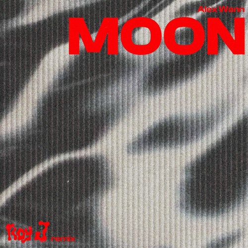 Alex Wann - Moon (Roy J Remix)