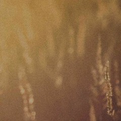 My Trashy Hut-naviarhaiku521