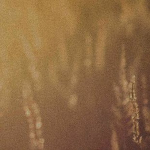 My Trashy Hut-naviarhaiku521