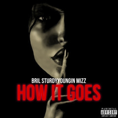 Sturdyyoungin ft mizz & Bril - HOW IT GOES (on & on)