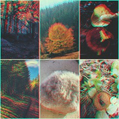 Valul Doi - I love your planet