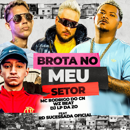 Brota no meu Setor (feat. Rd Sucessada Oficial)
