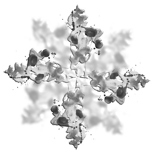 4. Dandelion Honey (Instrumental)