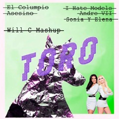 Toro (I HATE MODELS Edit) Vs Yo Quiero Bailar - Will C Mashup (FREE DOWNLOAD)