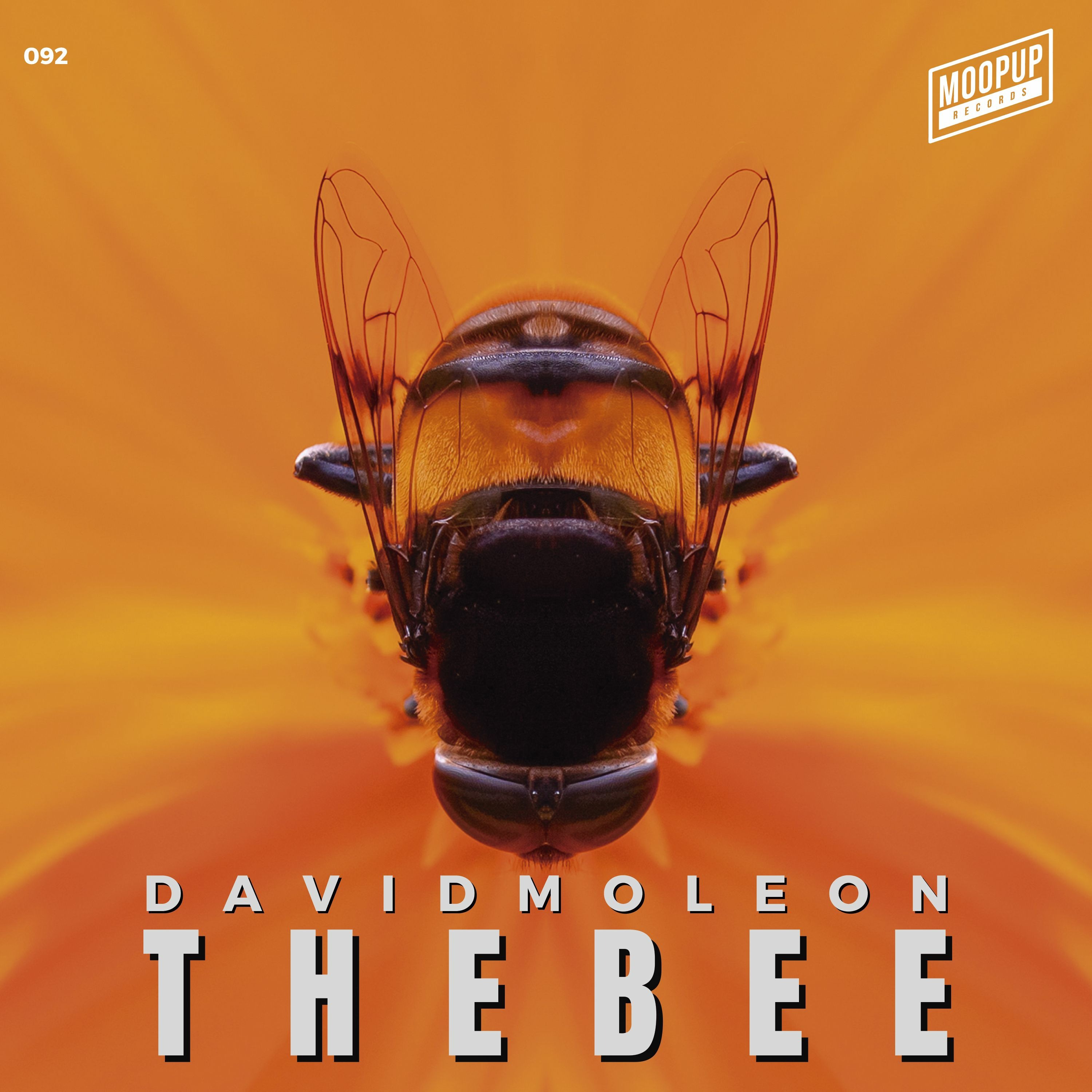 # DAVID MOLEON PODCAST #