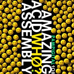 amazing acid assembly