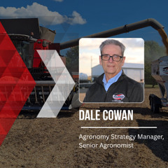 November 25 2025 - Noon Agronomy Report