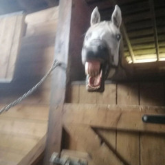 iван мiхаловске 156 BMP