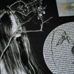 White Paint On Field - Liar, Flower (Geiger Counter bonus song)