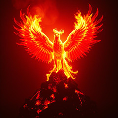 BURN İT OUT