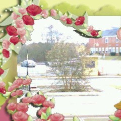 i could talk but,.,., who cares *publicfreakout*