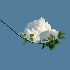 LilFoot - ODDi ('All in Family') [Prod. l'indecis]