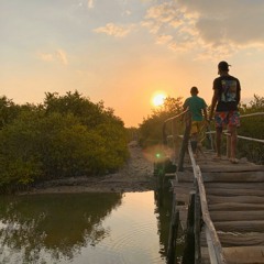 The More I Know The Better