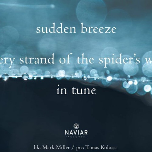 Sudden Breeze (naviarhaiku473)