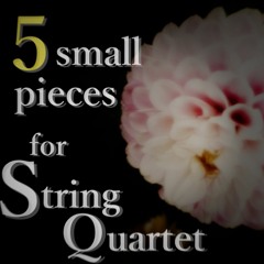 5 Small Pieces For String Quartet (Xfade) ～ 弦楽四重奏の為の5つの小品（クロスフェード） ～