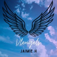 Vleugels
