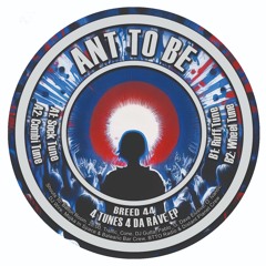 4 Tunes 4 Da Rave EP (12", BREED44, snippets)