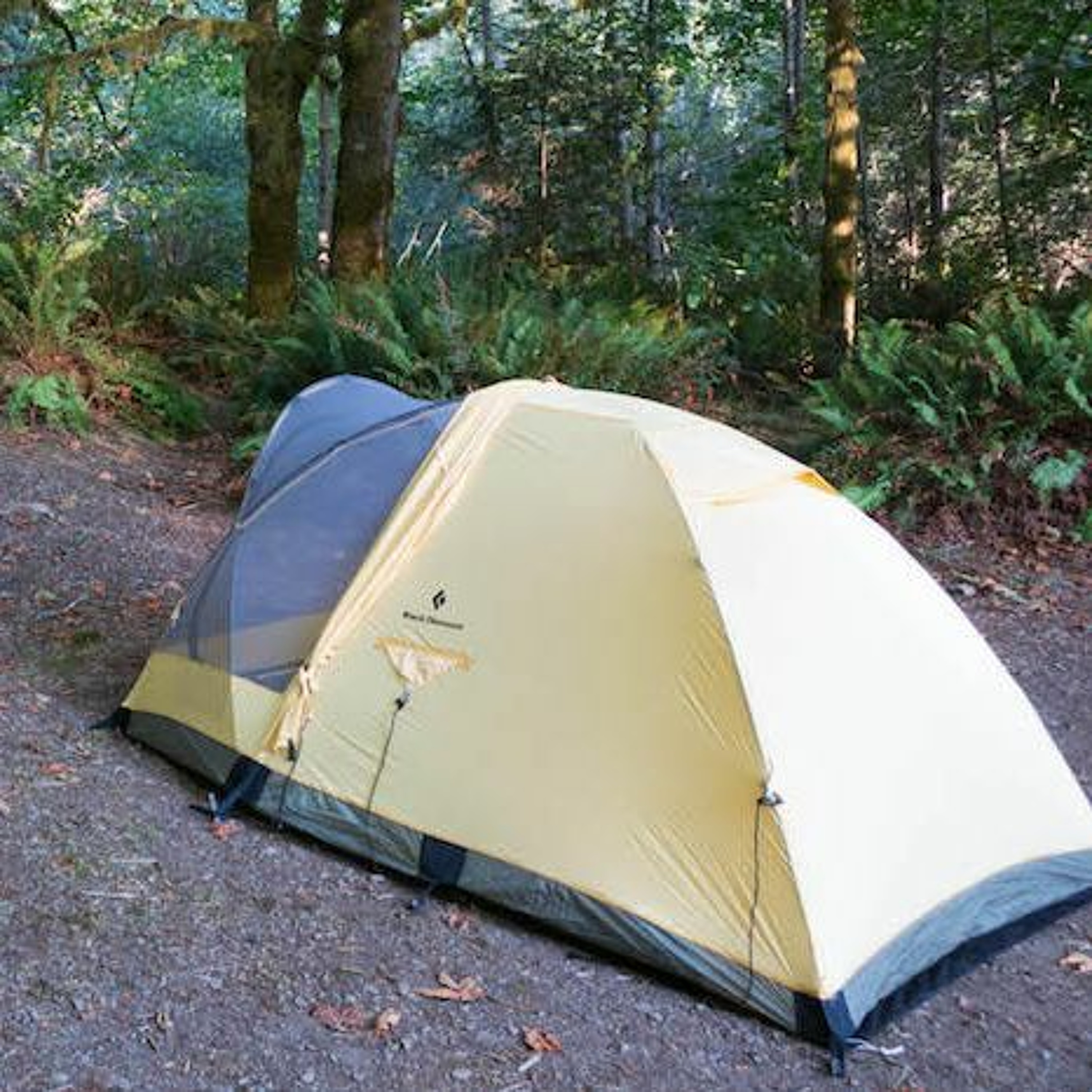 How To Camp Safely And Responsibly In The Summer Of COVID episode artwork