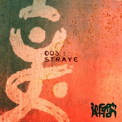 PROG003: Straye
