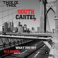 This Is This - What You Got (original mix) preview