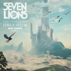 Seven Lions feat. Tyler Graves - Only Now (ROY KNOX Remix)