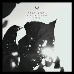 Bardia Salour - Desolation (Original Mix)