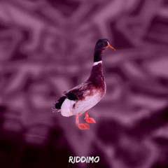 WYVERN - SOUNDING (Riddimo Vip)