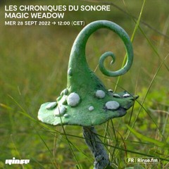 Les chroniques du sonore Magic weadow - 28 Septembre 2022