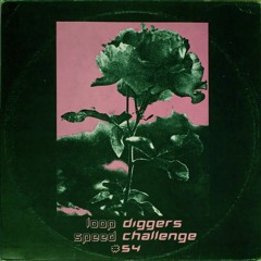 LoopDiggers Speed Challenge 54