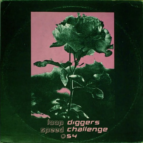 LoopDiggers Speed Challenge 54