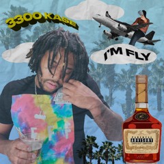3300 Ka$e - im fly '