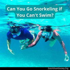 Best Can I Snorkel If Cant Swim Prices Reviews