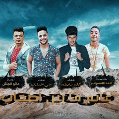 "المهرجان اللى خارب التيك توك " عايم ما بين صحاب