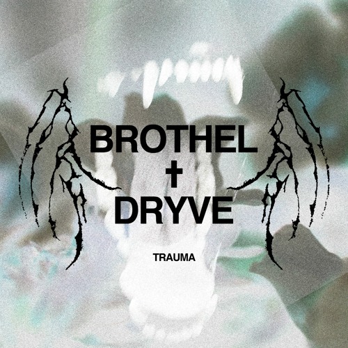 TRAUMAw/DRYVE