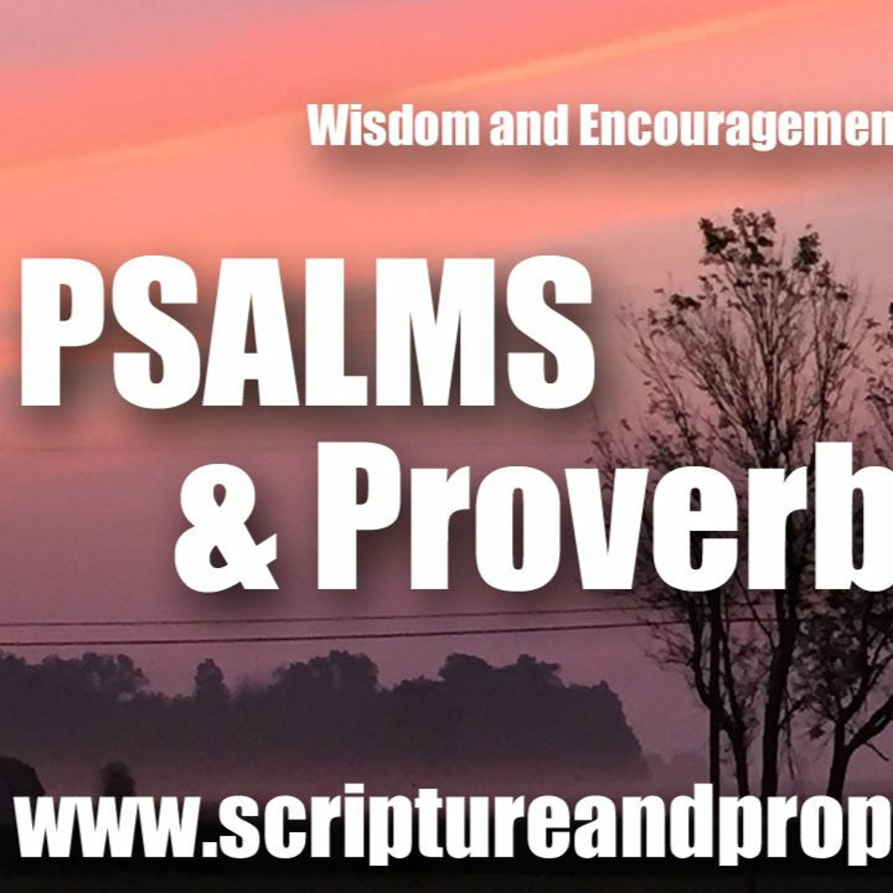 Wisdom From Psalm 16 & Proverbs 19: You Will Not Abandon My Soul