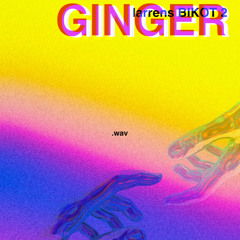 larrens BIKOT 2.wav