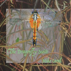 The Dragonfly Suite