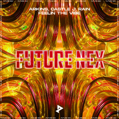 Arkins & Castle J & RAIN - Feelin The Vibe