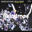 Sander Van Doorn x Selva x Macon - Raindrops (feat. Chacel)(Reksen Remix)