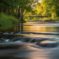 Riverside Whispers