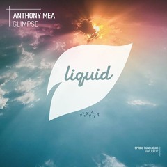 SPRLIQ032 | Anthony Mea - Glimpse EP