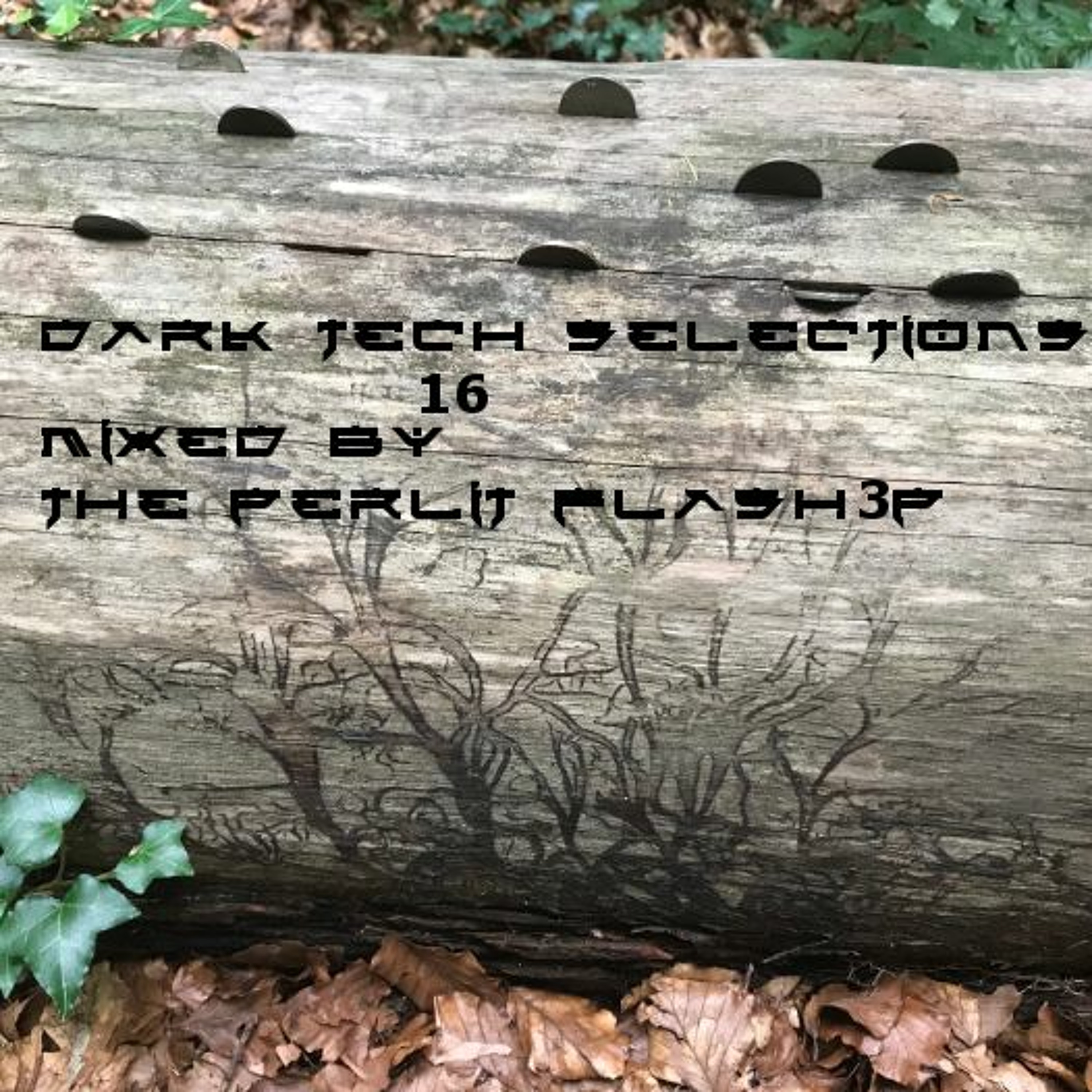 The Perlit Flash3P