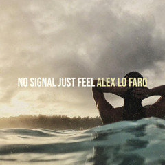 NO SIGNAL, JUST FEEL